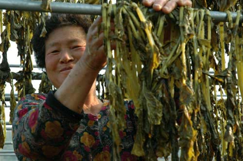 사진을 안찍겠다던 아주머니가 갈때는 "사진 찍어줘서 고마워요"라고 인사를 한다. 